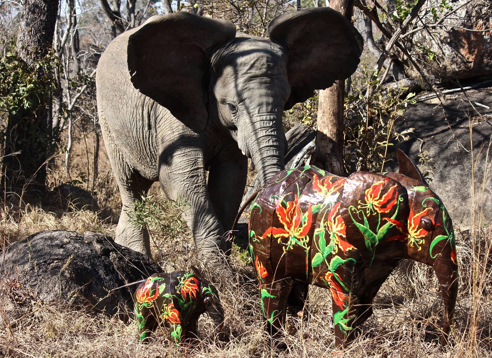 wild is life One by One  Marlene Bornman.jpg