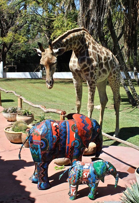 wild is Life photo 2.jpg