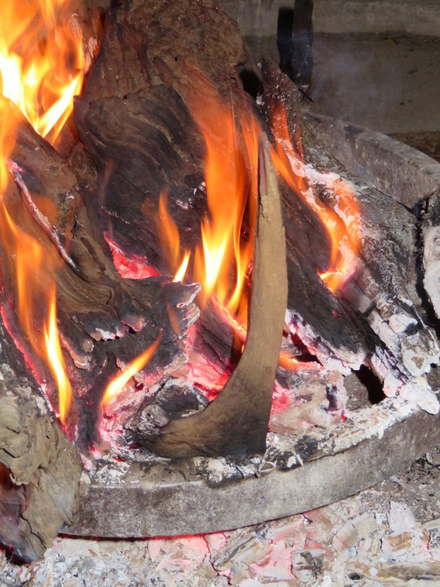 horn of fire lo resjpg