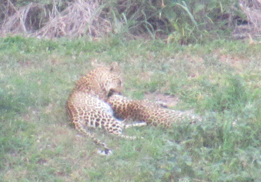 IMG_6975  lo res.JPG