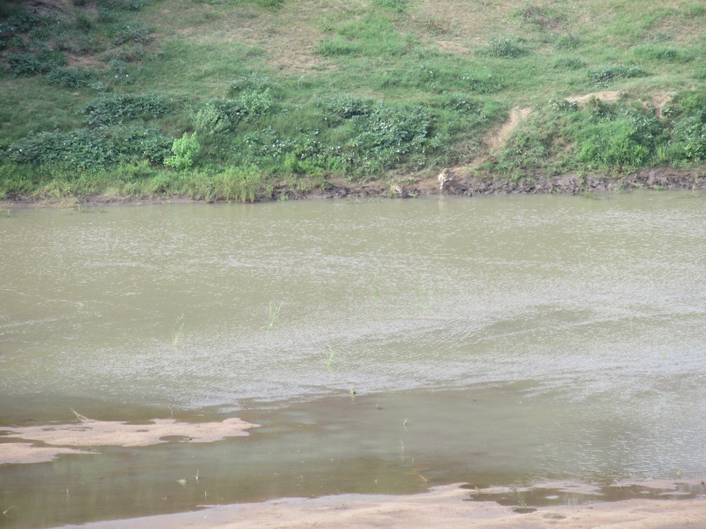 IMG_6984  lo res.JPG