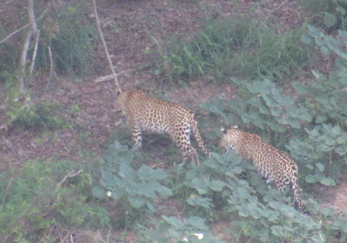 IMG_6996  lo res.JPG