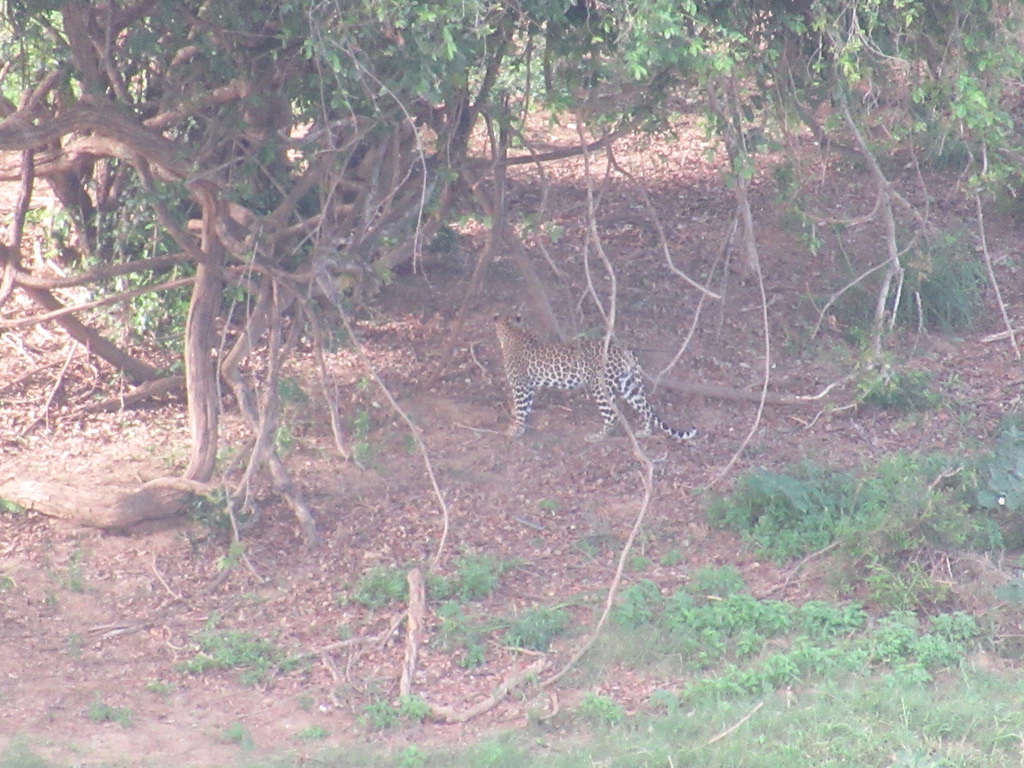 IMG_6997  lo res.JPG