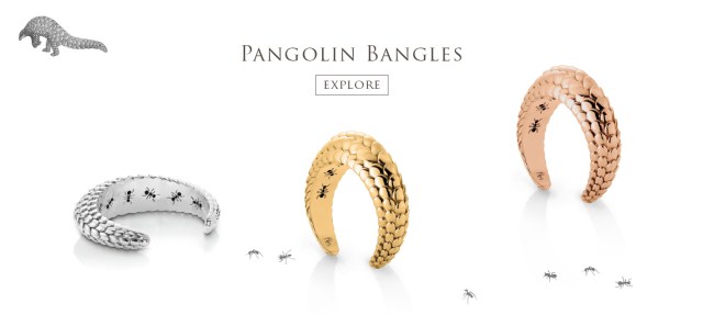 pangolin-homepage-2016-10-rect-05-bangles.jpg