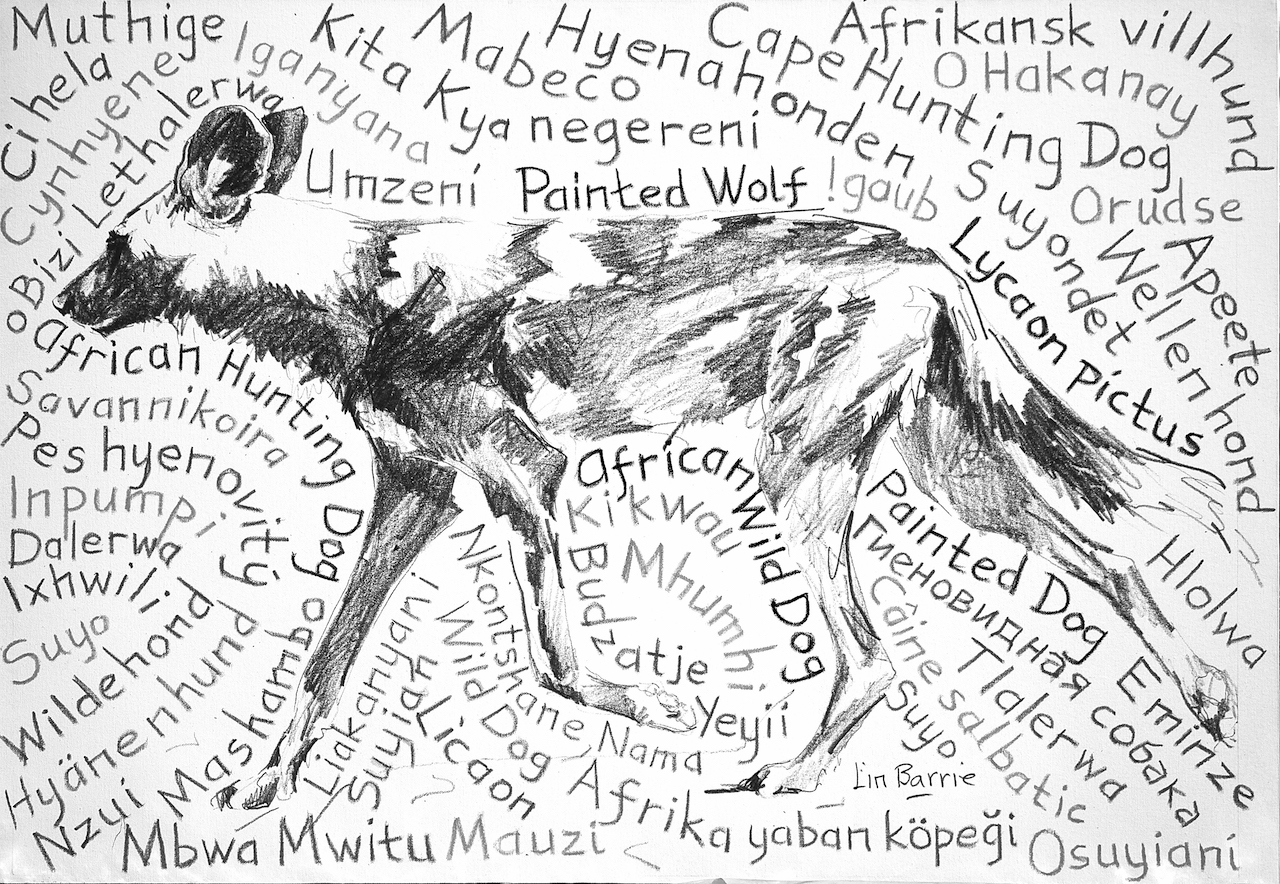 "What's in a Name" kickstarter scan 2 lo res.jpg