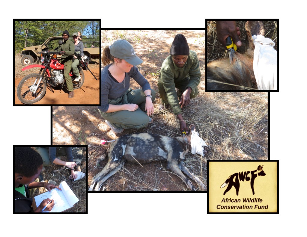 This image has an empty alt attribute; its file name is 16.-awcf-field-work.jpg