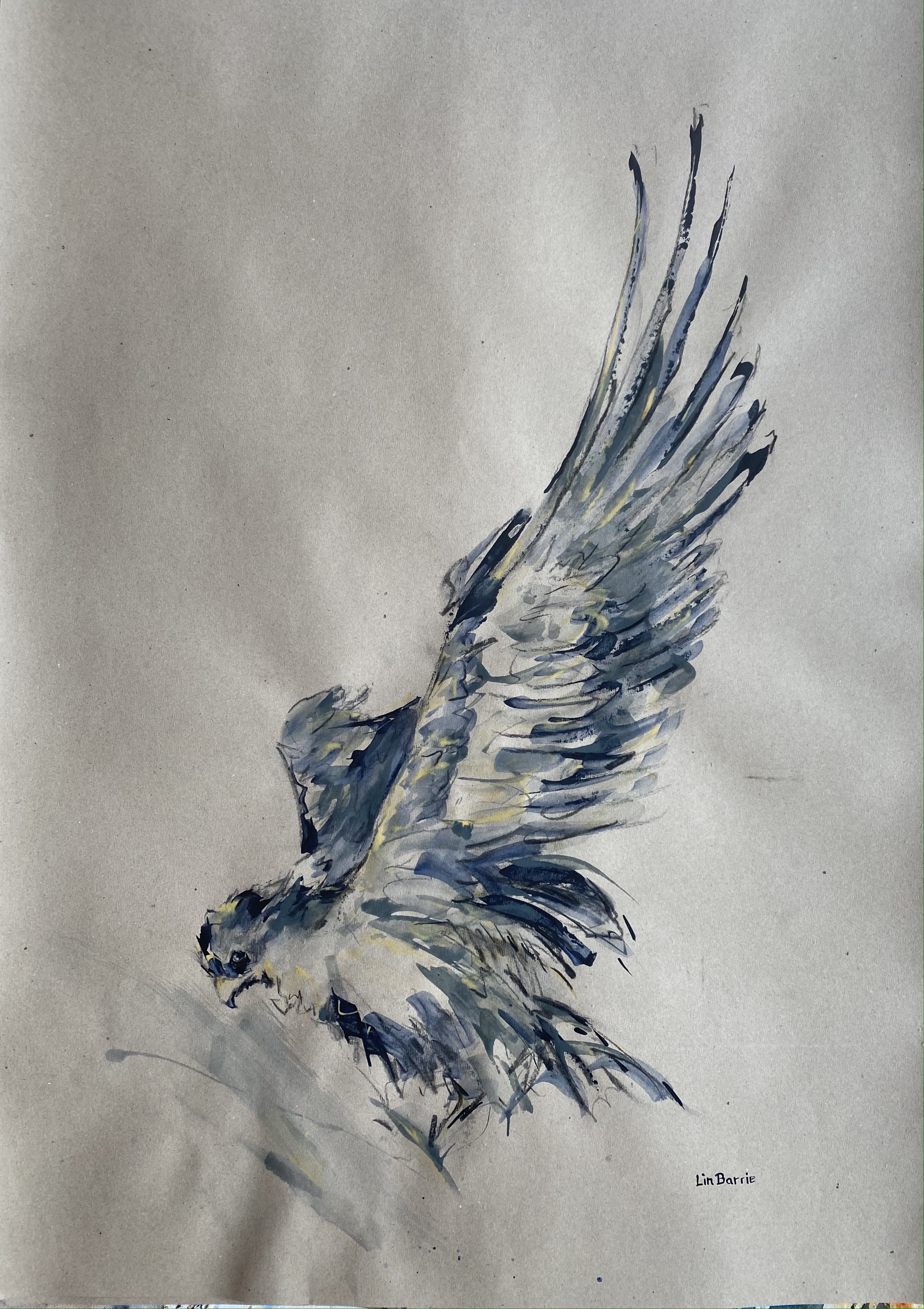 The Winged Victory; Flight, Fight and Freedom | wine and wild dogs