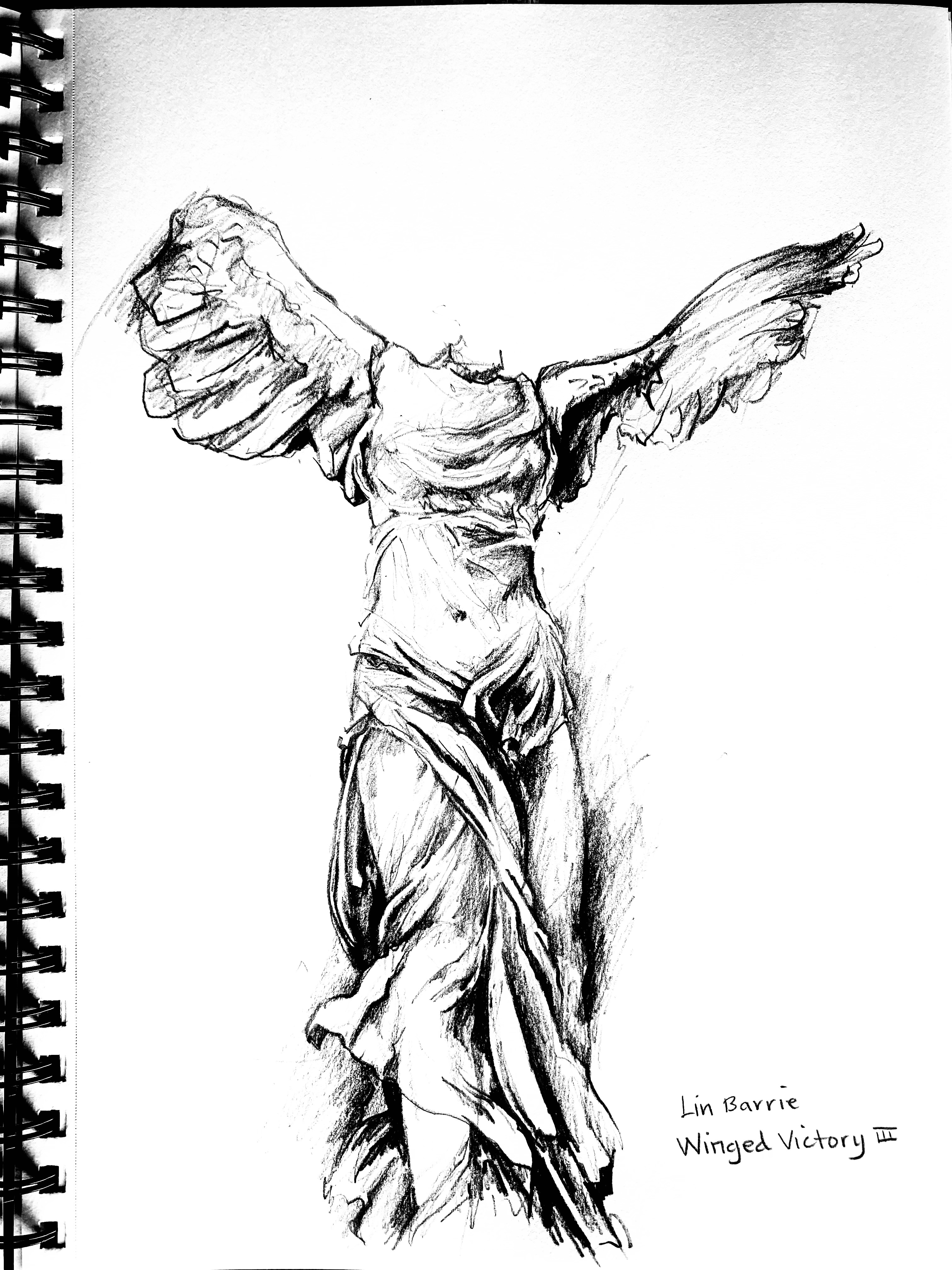 The Winged Victory; Flight, Fight and Freedom | wine and wild dogs