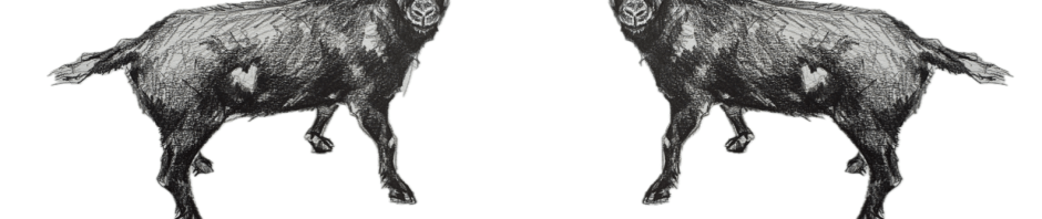 VOTE GOAT at ArtHARARE voters booth, Investec Art Fair 2025